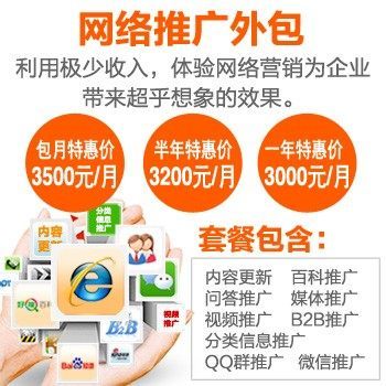 网络推广外包服务助力企业腾飞 从策略到服务器租赁的一站式解决方案