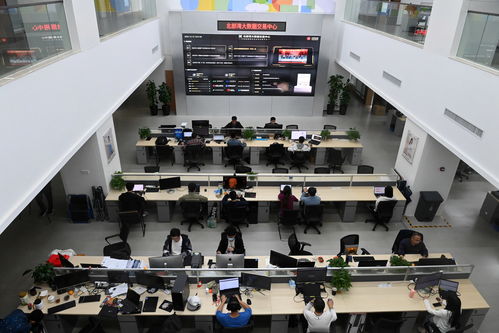 中国与东盟聚焦数字合作，推动网络信息咨询服务发展